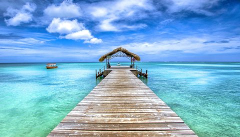InvesTT Enthusiastic About Tourism Investment Opportunities