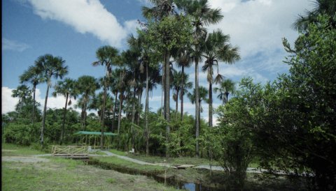 Environmental Management Authority