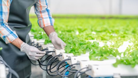 InvesTT at Agri-Investment Forum & Expo II