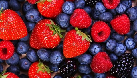 Locally Grown Strawberries and Berry Fruits To Hit Market in 2022 - Opportunities For Food and Beverage Businesses Imminent 