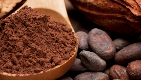 The Trinitario Cocoa Webinar Series 2022