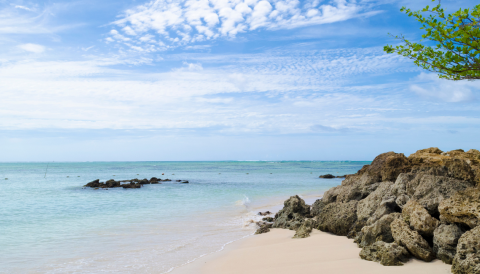First Class Hotel & Property Development Opportunity at Rocky Point, Tobago